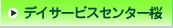 �f�C�T�[�r�X�Z���^�[��